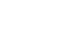 The Tiles Company Logo